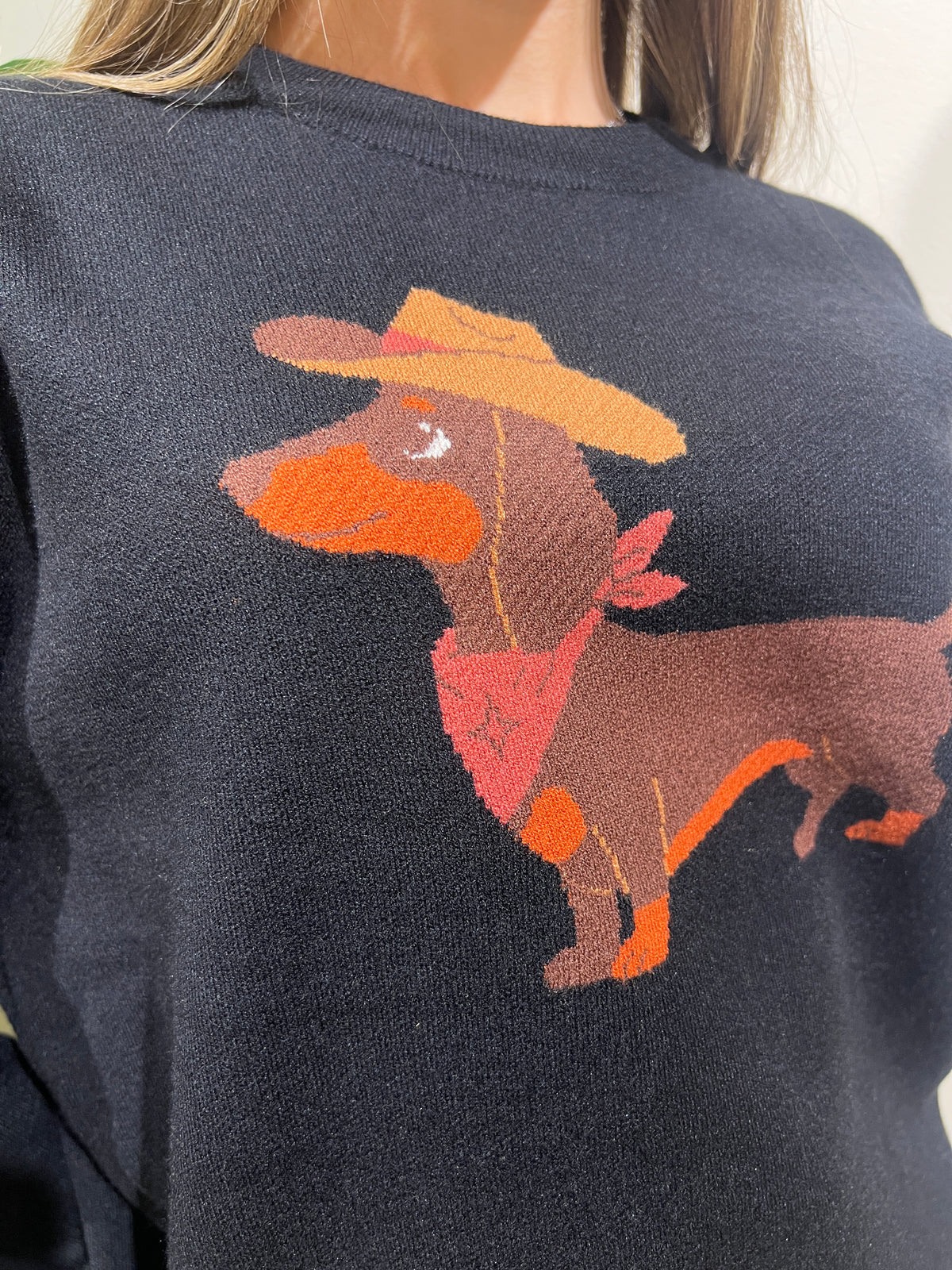Jersey perrito