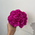 Clavel fucsia