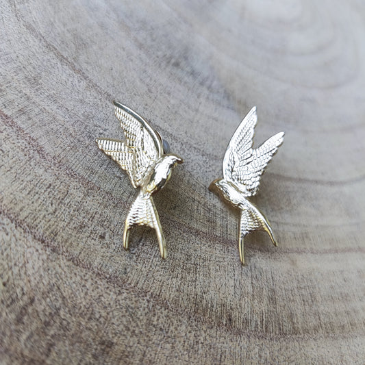 Colibrí