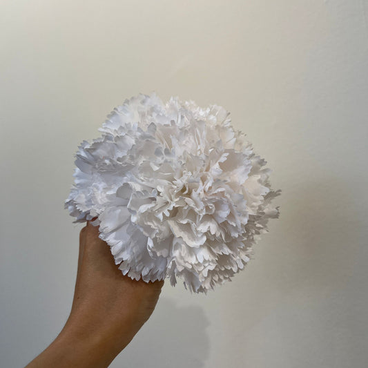 Clavel blanco