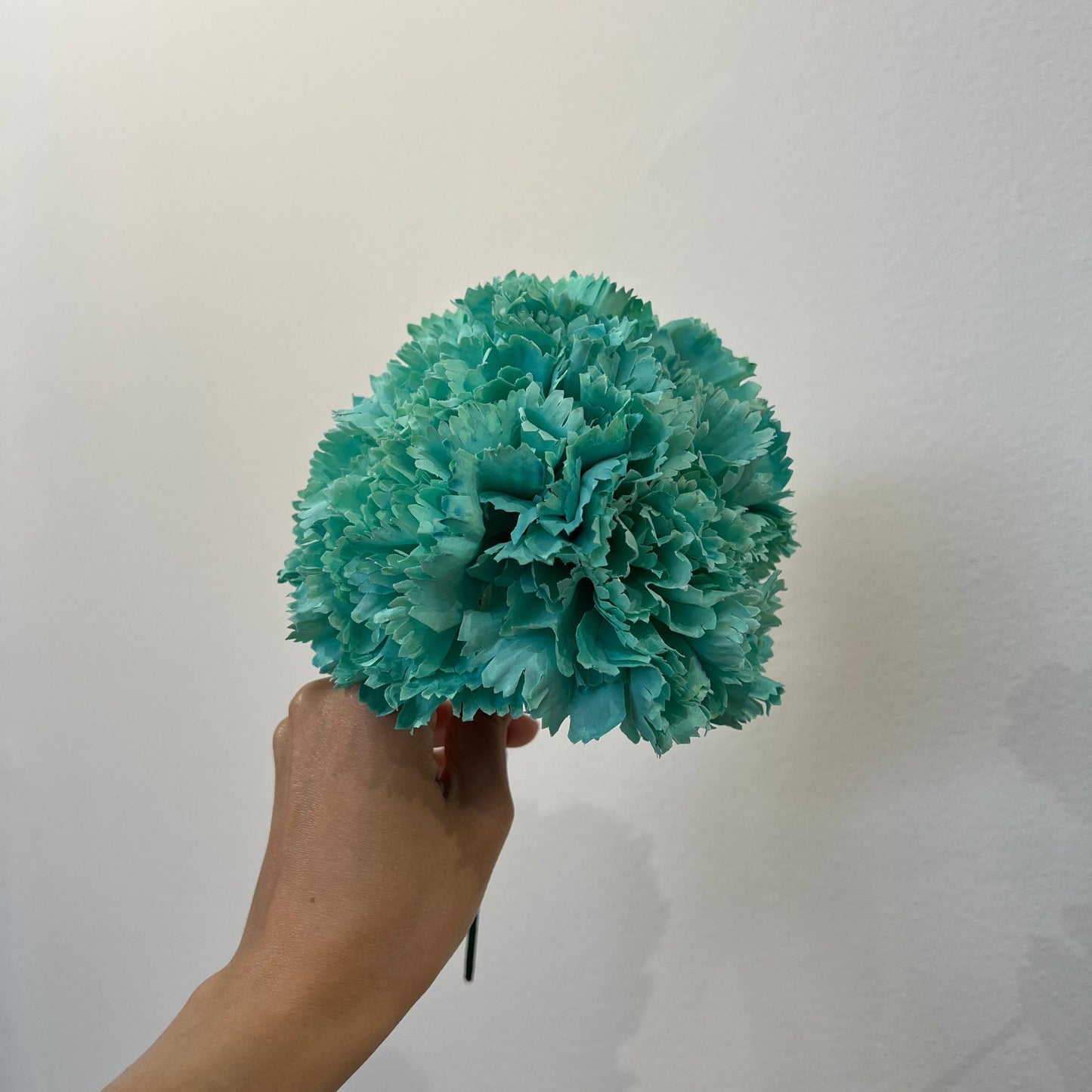 Clavel menta