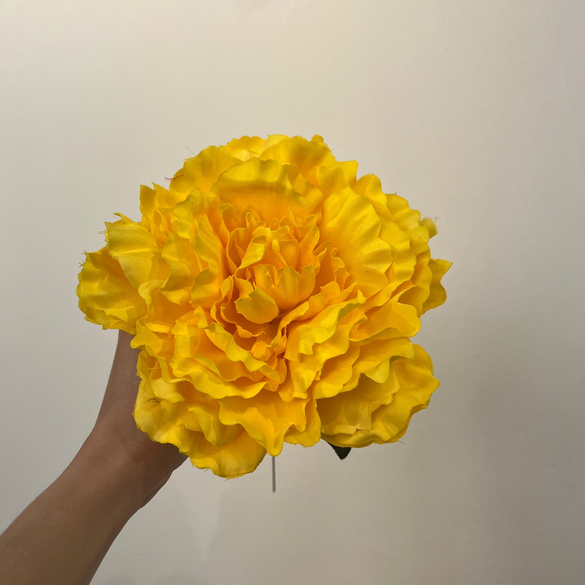 Peonía grande amarilla