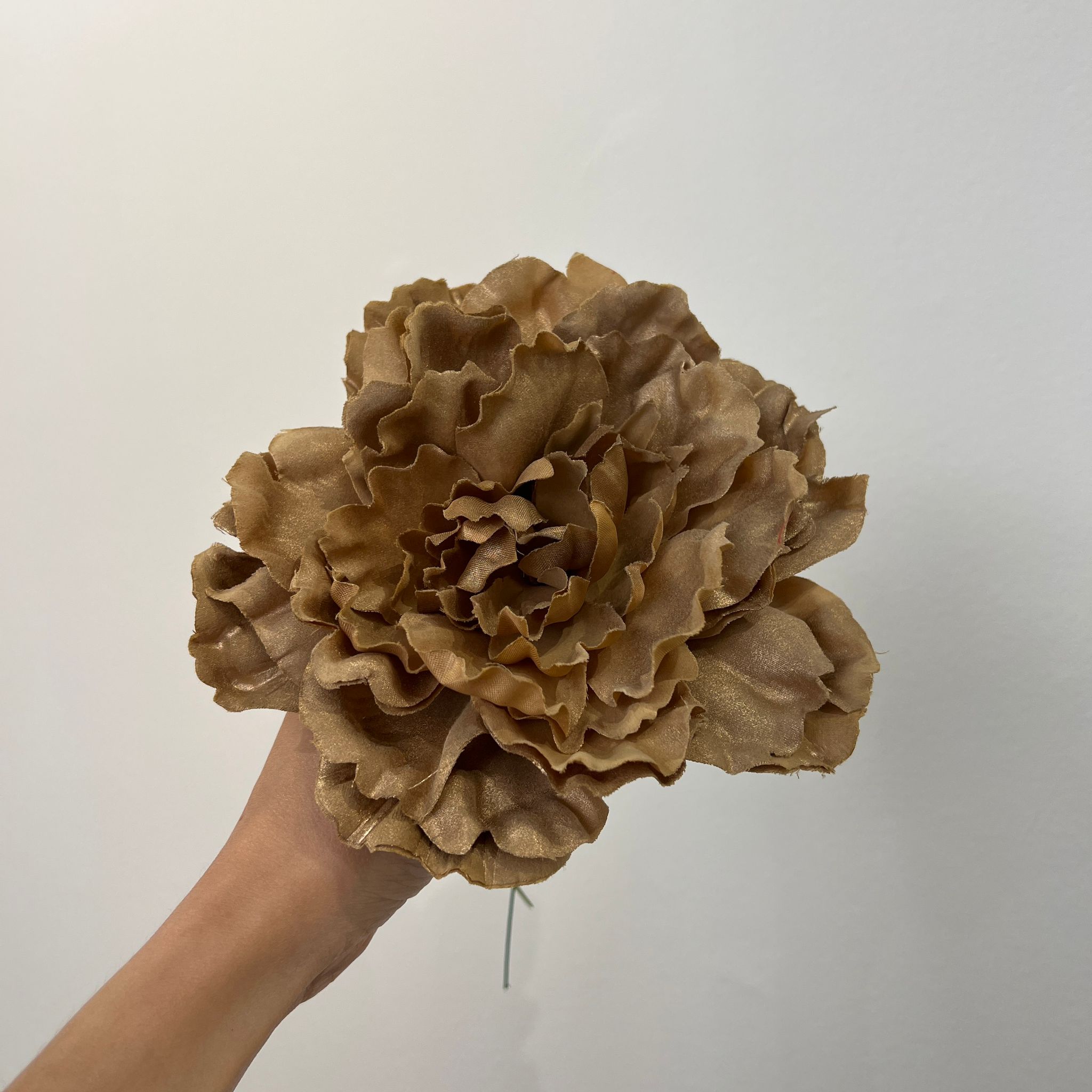 Peonía grande dorada