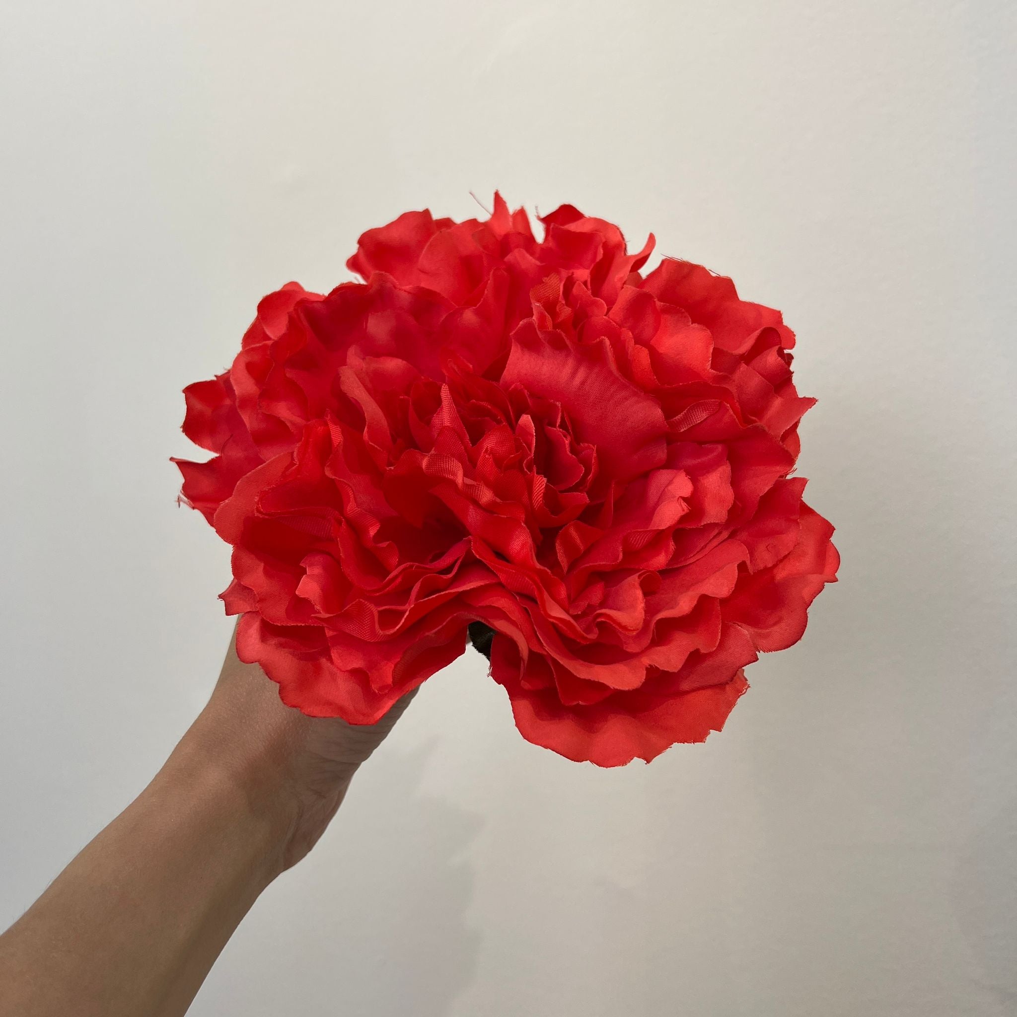 Peonía grande coral