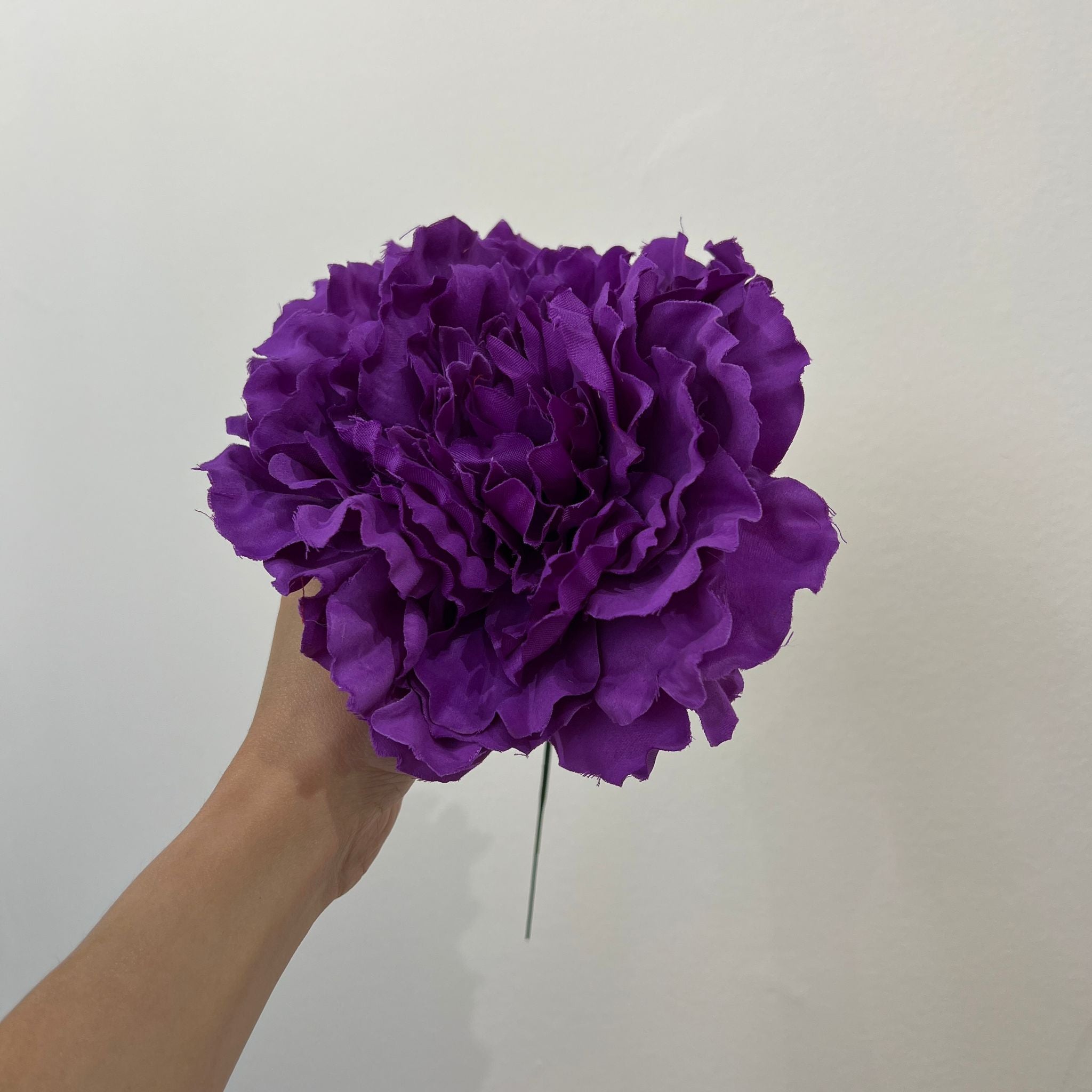 Peonía grande morada