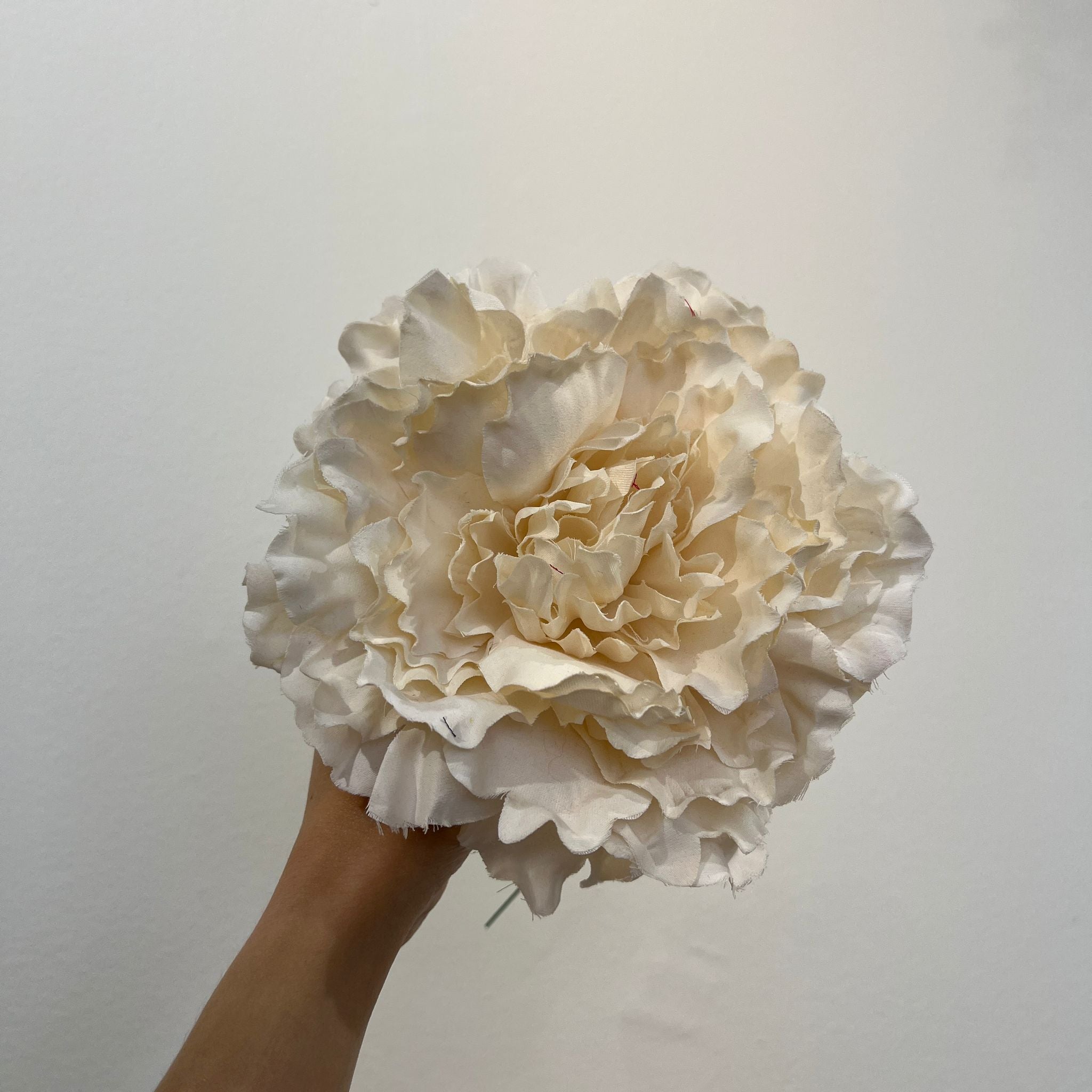 Peonía grande marfil