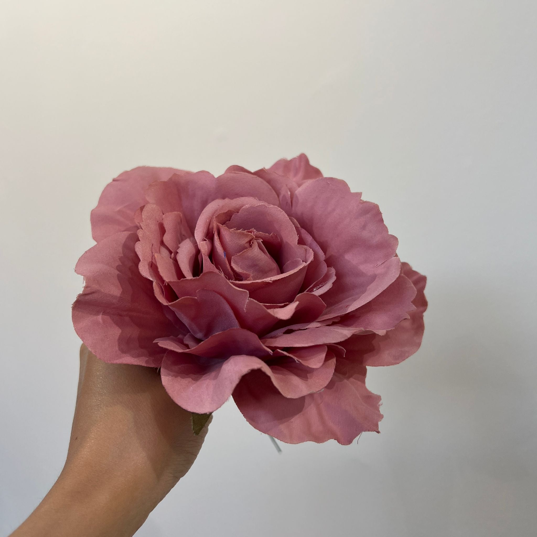 Rosa rosa maquillaje