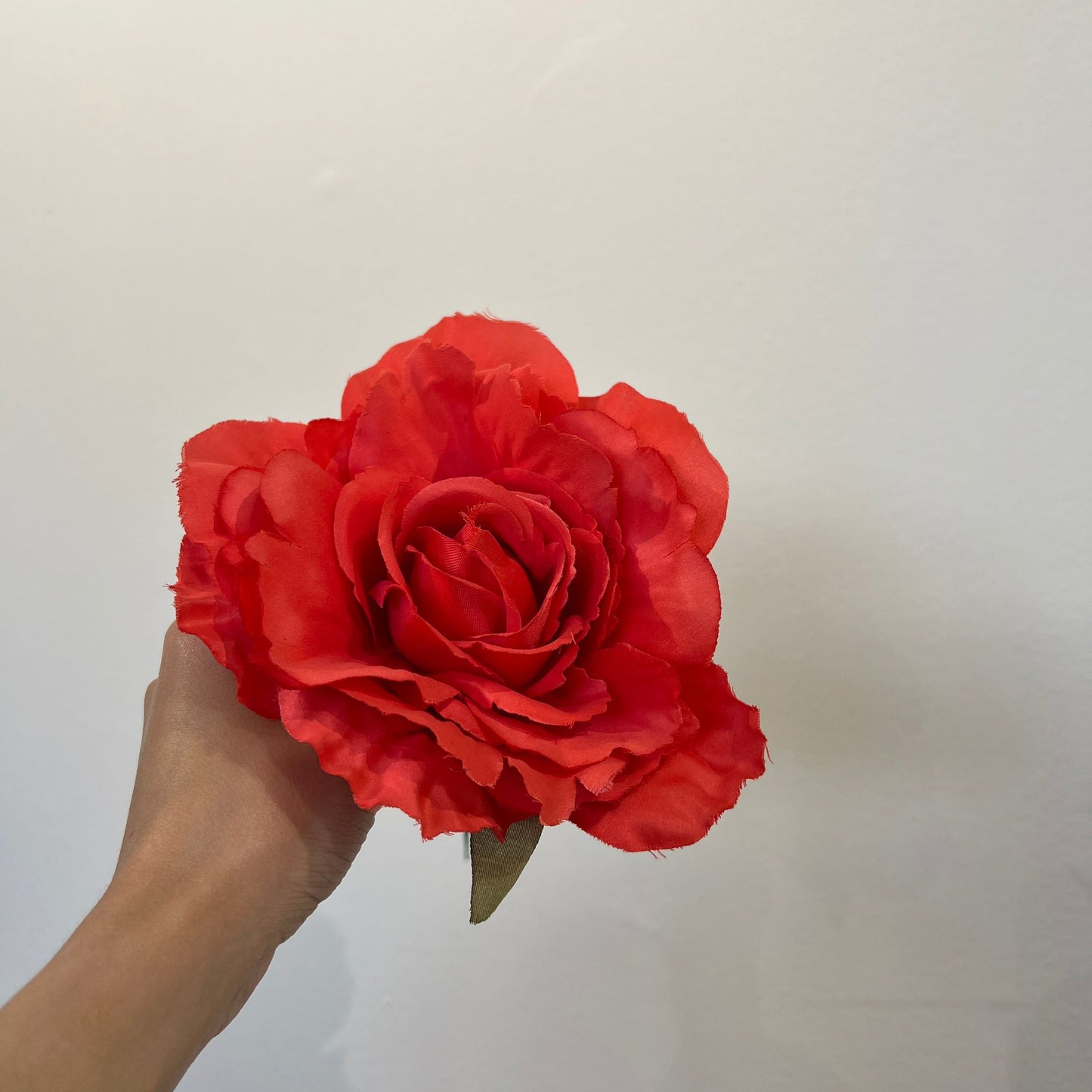 Rosa coral