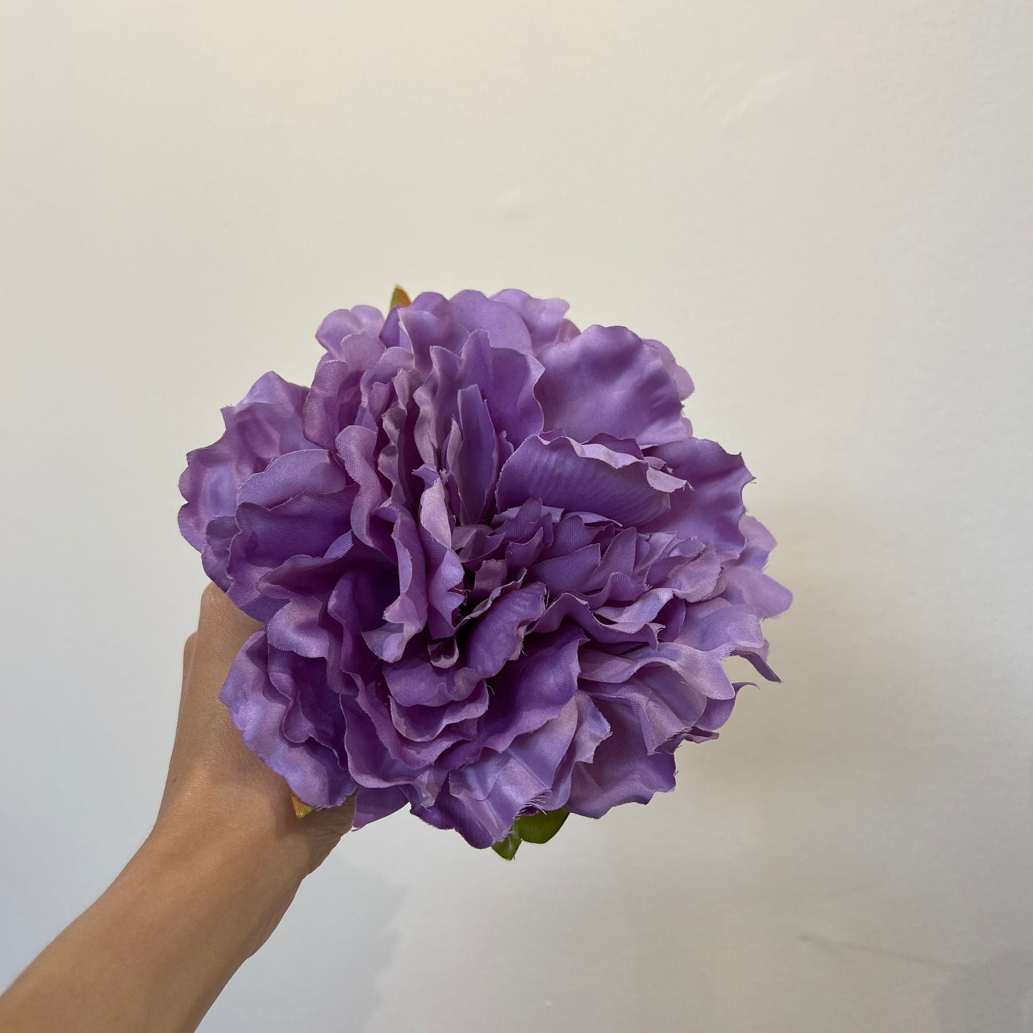 Peonía mediana lila
