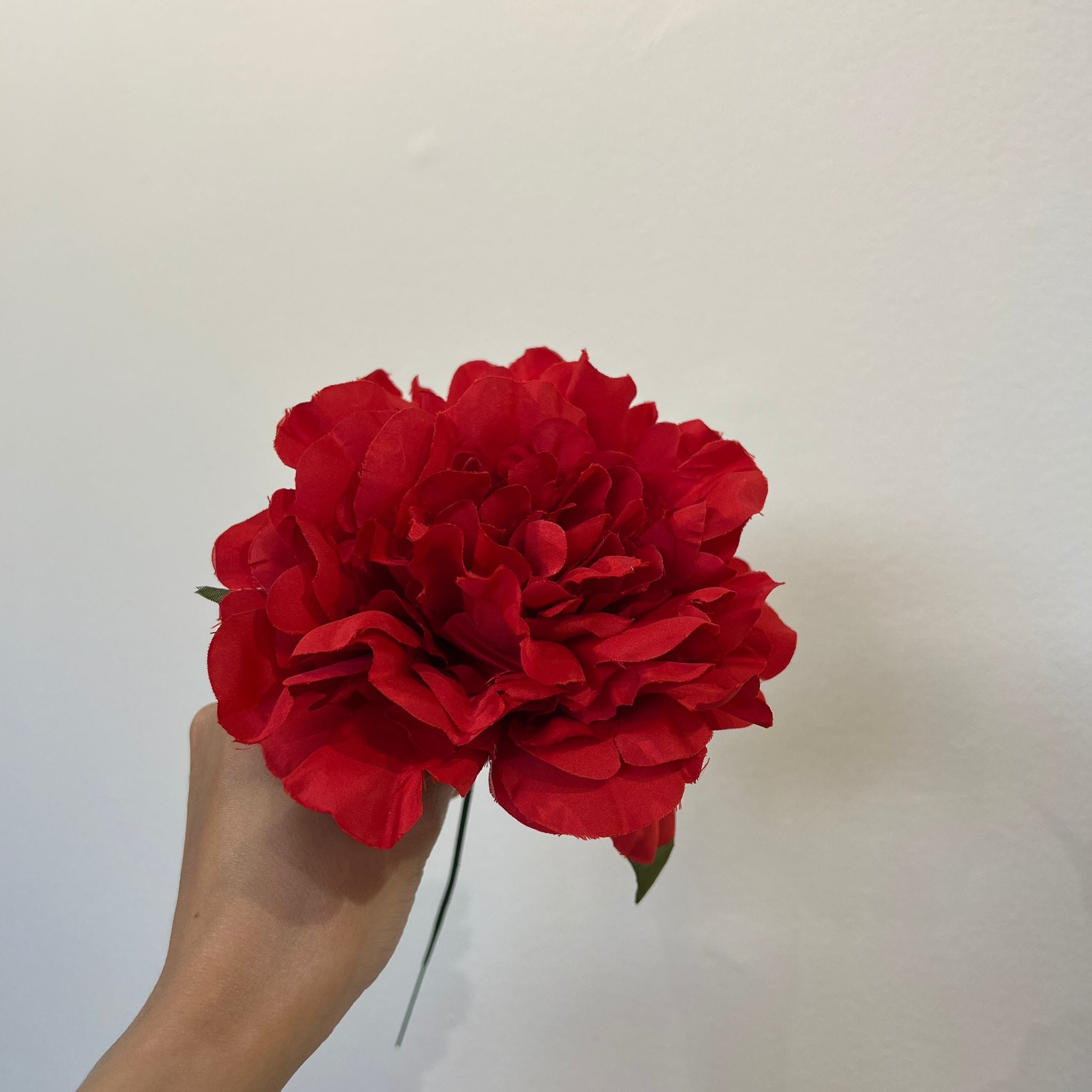 Peonía pequeña roja