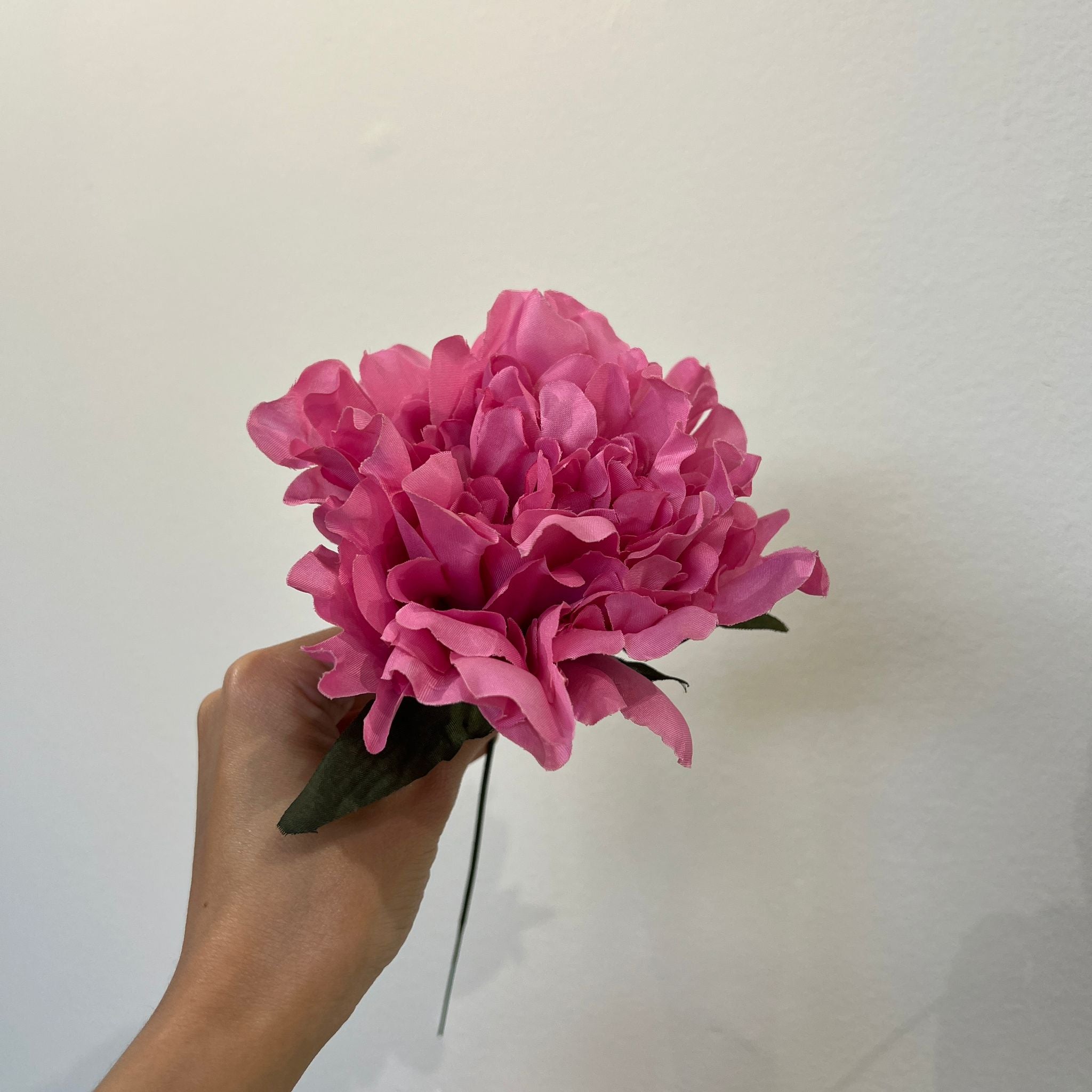 Peonía pequeña rosa chicle