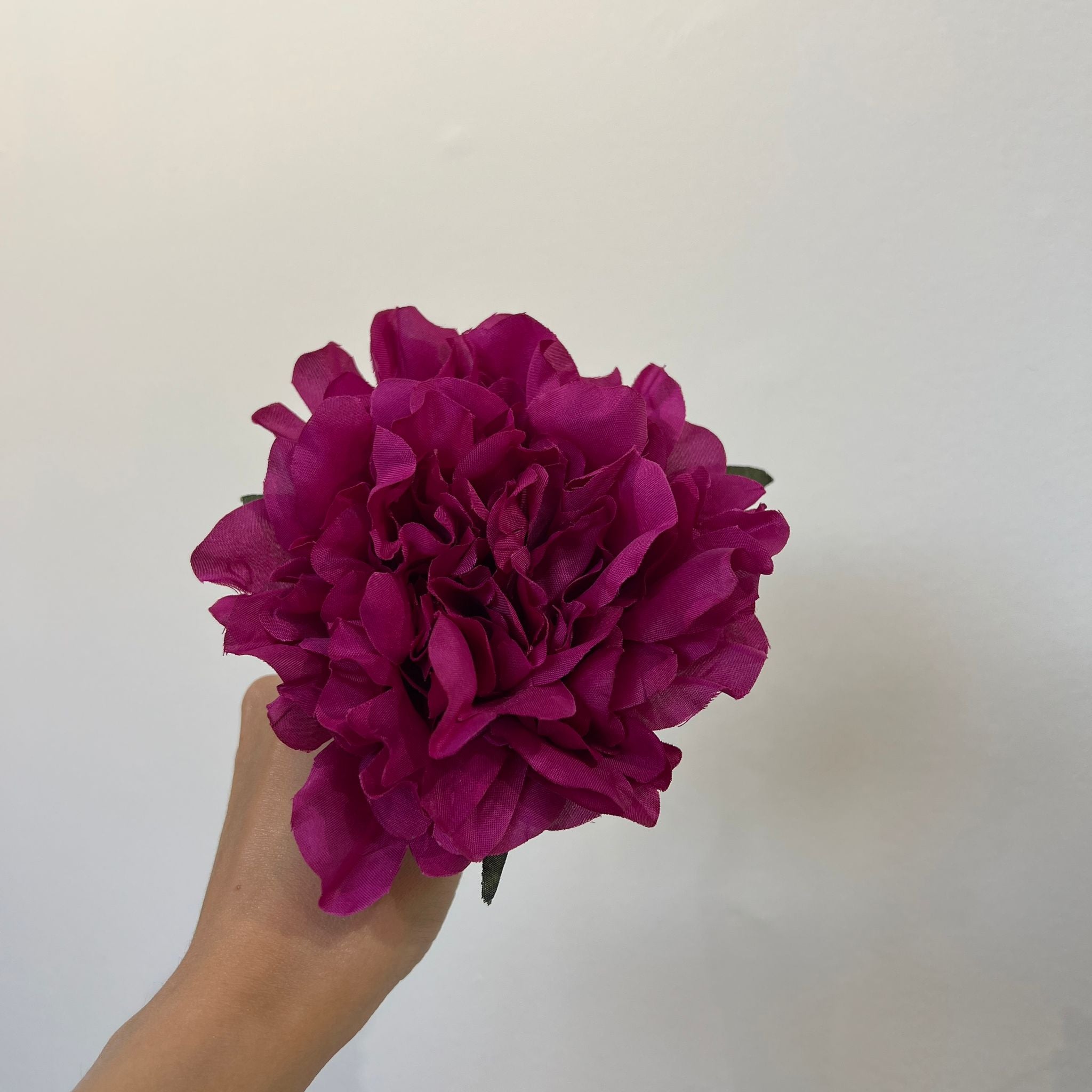 Peonía pequeña buganvilla