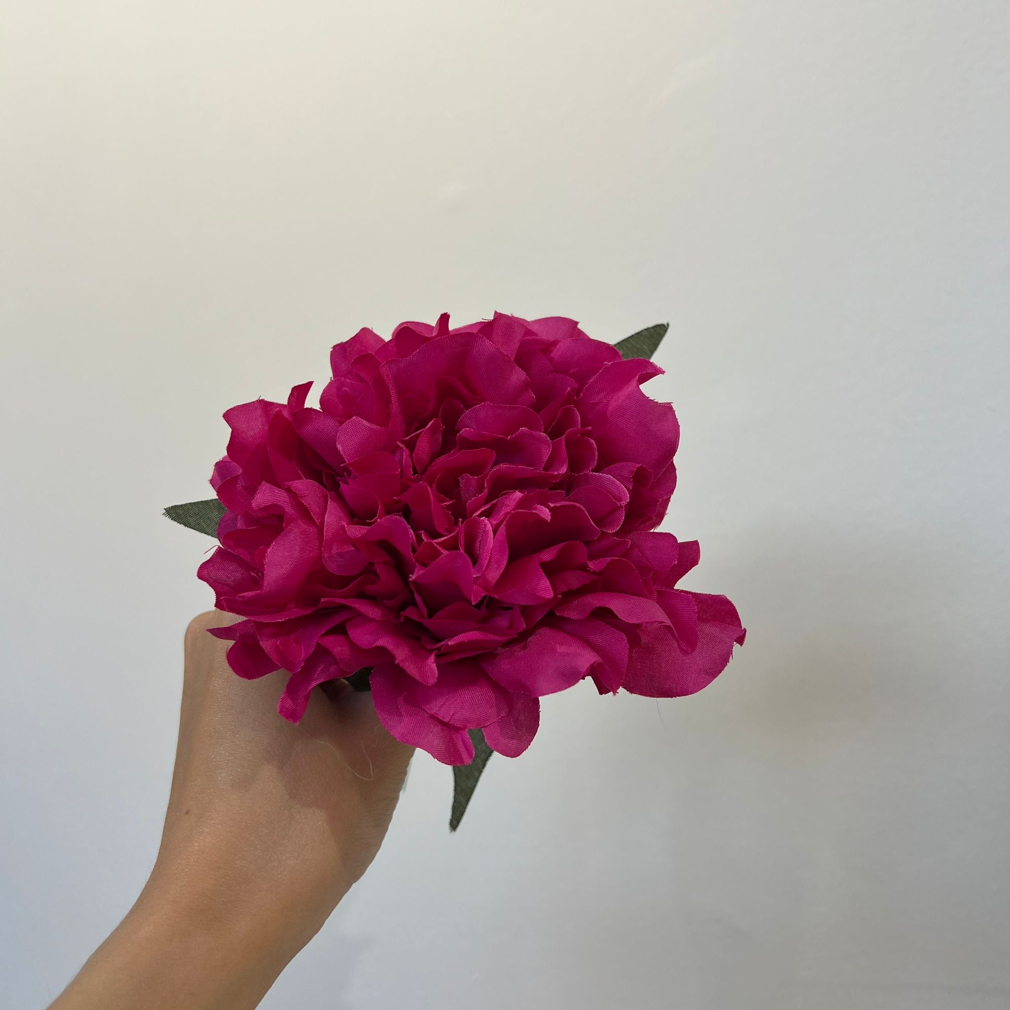 Peonía pequeña fucsia