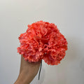 Clavel coral