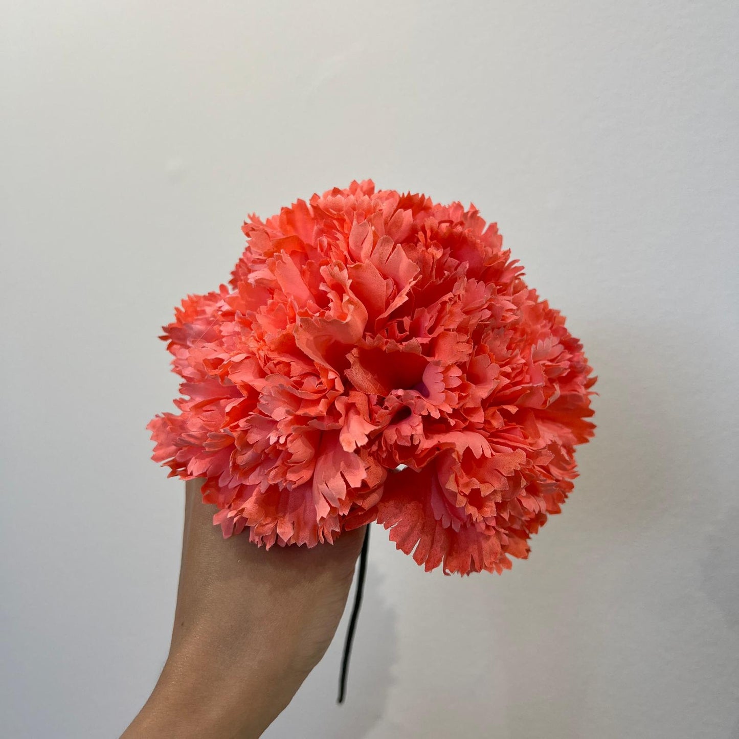 Clavel coral