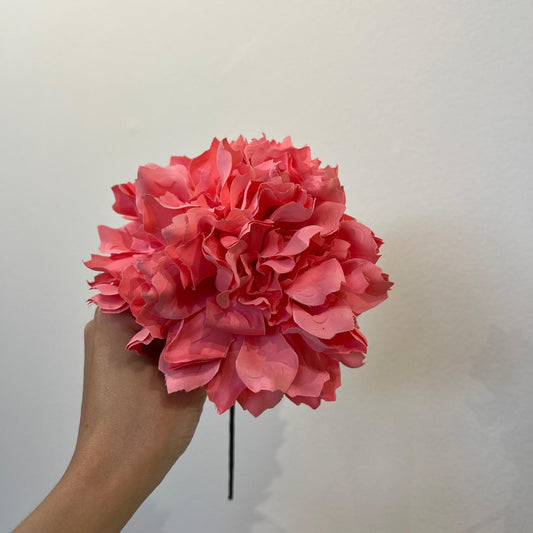 Dalia coral